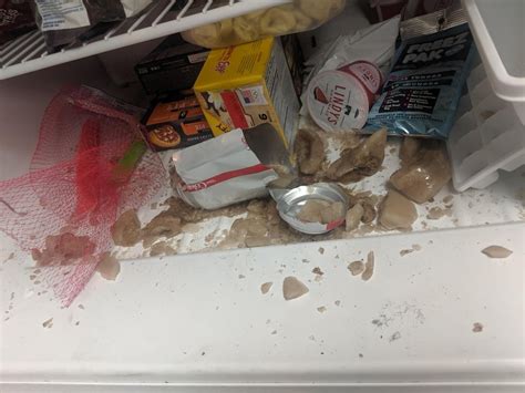 Exploding Diet Coke 的图像结果