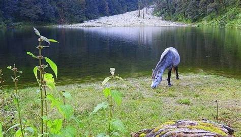 25 Spots For Camping In Uttarakhand That'll Make 2026 Your Trip Amazing