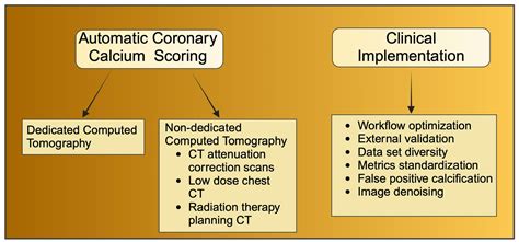 Artificial Intelligence in Coronary Artery Calcium Scoring