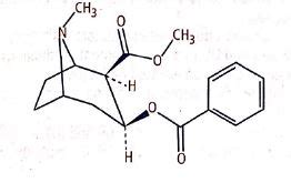 The chemical compound whose chemical structure is given below is ...