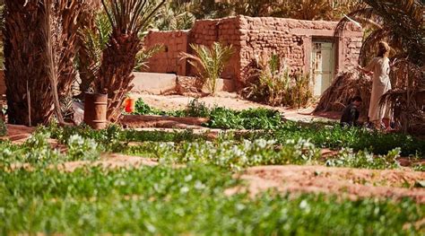 THE ZAID GARDEN (Tagounite) - Guesthouse Reviews & Photos - Tripadvisor