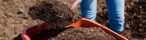 How to Mulch Beds 的图像结果