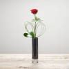 Single Flower.: Order Flowers Online | Interflora India | ID1351699