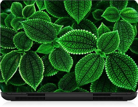 Gallery 83 ® leaf laptop skin sticker wallpaper (15 inch x 10 inch ...