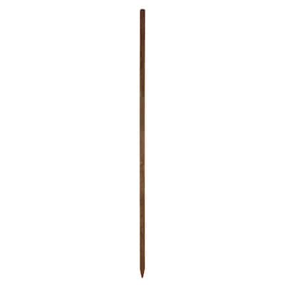 Greenes Tree Stakes & Ties at Lowes.com