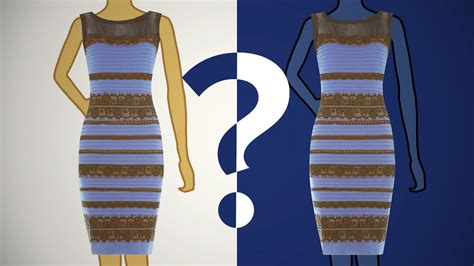 The Color Of The Dress According To Science | White gold dress, Black ...