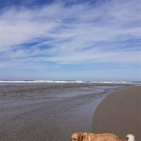 ONA BEACH STATE PARK (2026) All You Need to Know BEFORE You Go (with ...