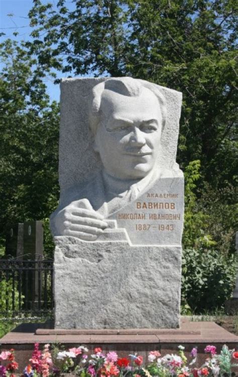 ПАМЯТНИК Н.И.ВАВИЛОВУ НА КЛАДБИЩЕ