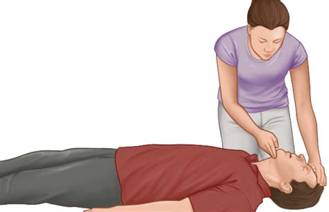 CPR Basic Life Support 的图像结果