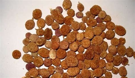 30 Places To Visit In Aurangabad On Your Weekend Getaway