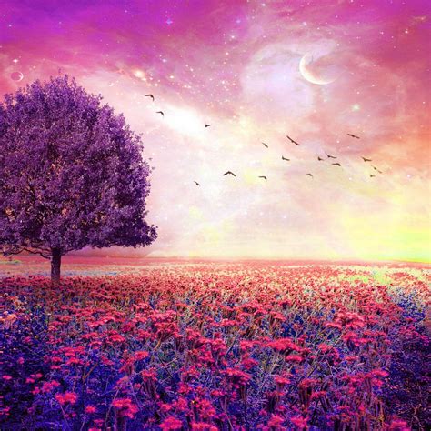 Dreamy Wallpapers - Top Free Dreamy