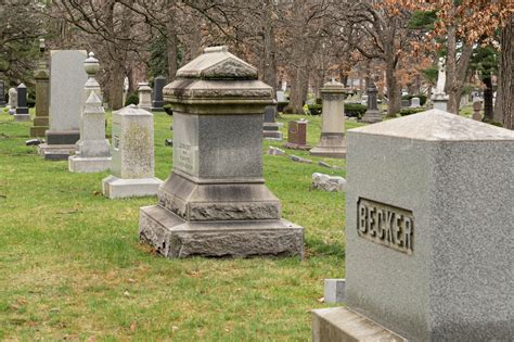 Mt. Greenwood Cemetery hole in the 19th Ward Chicago - WBEZ Chicago