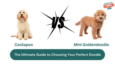 Image result for Mini Goldendoodle Cockapoo