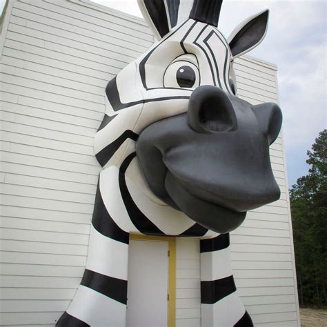 Carolina Creek Christian Camp - Huntsville, TX | Wacky World Studios