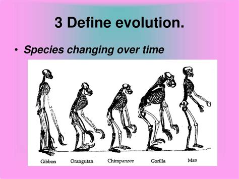 Define Evolution 的图像结果
