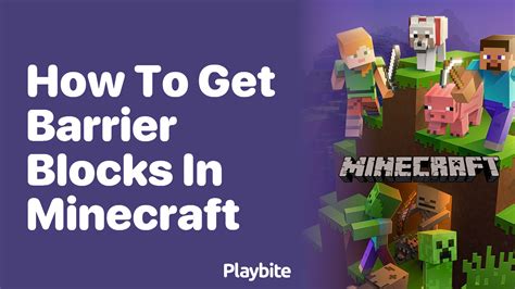 Image result for How to Get Barrier Blocks in Minecraft Java