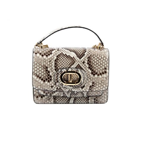 Image result for Python Siena