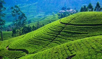 Experience Kandy Tour Package for 6 Days 5 Nights from Colombo | kandy ...