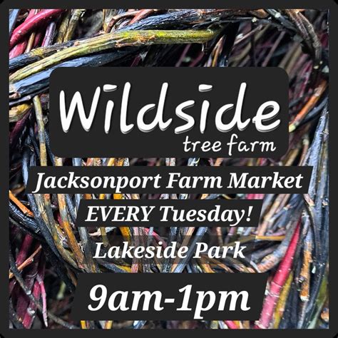 Farm Market, Lakeside Park Jacksonport, Baileys Harbor, 8 July 2025 ...