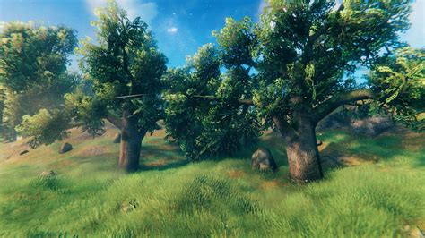 Valheim - How to Plant Trees and Farm Seeds