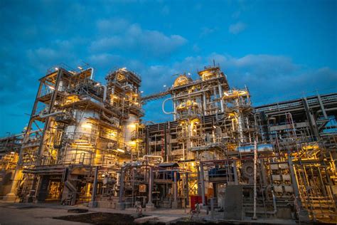 Image result for The Design Process Plant