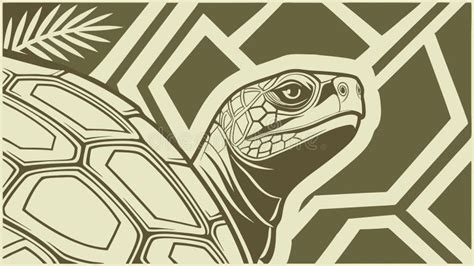 Image result for Turtle Shell Pattern Drawing