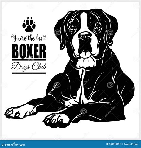 Boxer Logo 的图像结果