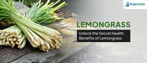 Health Benefits Of Lemongrass Natural Lemongrass Soap Bar | Organic