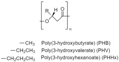 Biomedical Applications of the Biopolymer Poly(3-hydroxybutyrate-co-3 ...