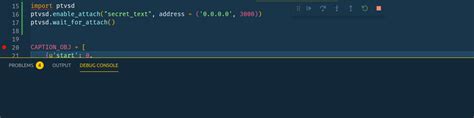 Vscode Debug Python in Docker Container 的图像结果