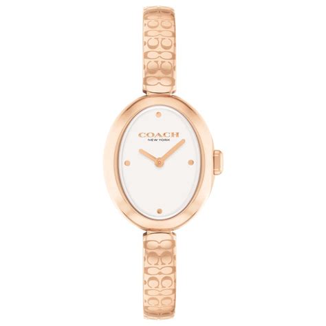 Women Sammy Analogue Watch 14504531 – Gangoly Watch & Eyewear