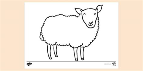 FREE! - Sheep Colouring Sheet | Colouring Pages