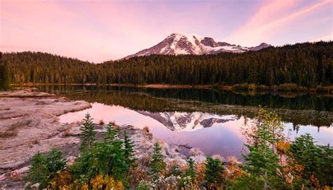 Image result for Nature Sample