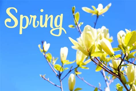 Image result for Friday Spring Time