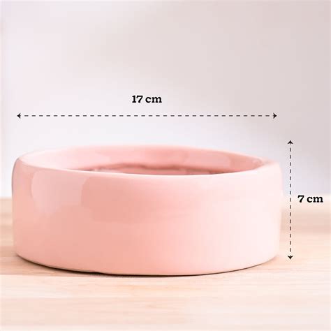 Lilac Stories Bundle - Light Pink – Ugaoo