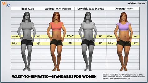 Hip Waist Ratio Chart at Clarence Valladares blog
