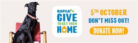 RSPCA Queenslands Give to Get Them Home Appeal Mackay 2023, RSPCA ...