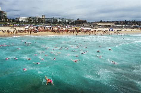 Swim 的图像结果