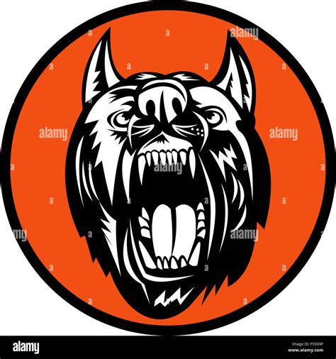 Angry Dog barking growling at you Stock Photo - Alamy