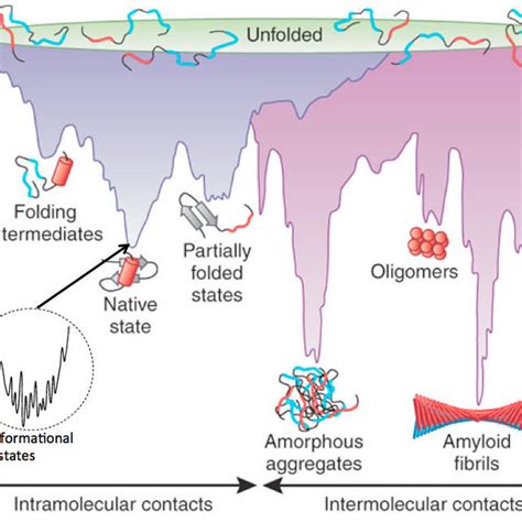 Protein Evolution Landscape 的图像结果