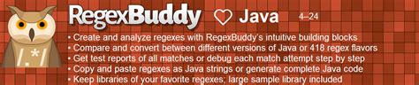 Image result for Regular Expressions in Java Using
