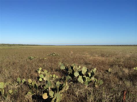 General | Veech Research Group in Ecology