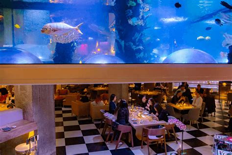 Image result for Comments in Google Python Style Guide