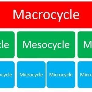 Image result for Periodization Program