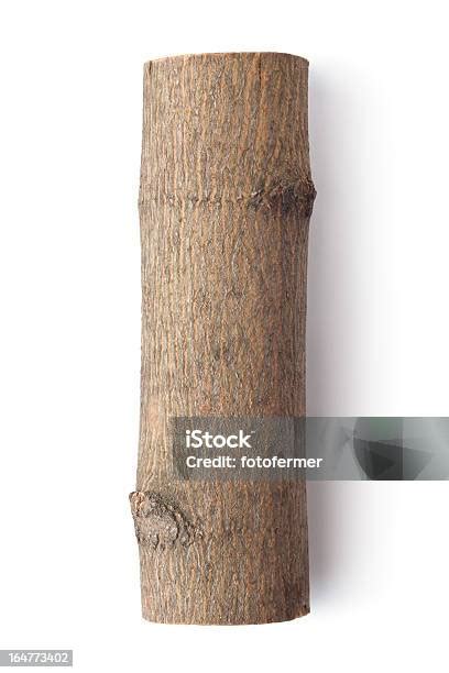 Image result for Log Top View Sprite