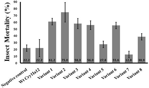 Molecular Approaches to Improve the Insecticidal Activity of Bacillus ...