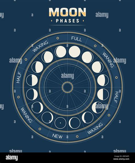 Lunar Cycle Moon Phases