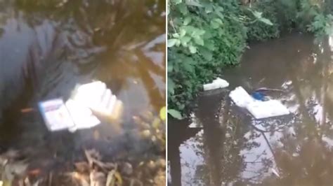 West Bengal Elections 2024: EVM Thrown In Pond Near Polling Station In ...