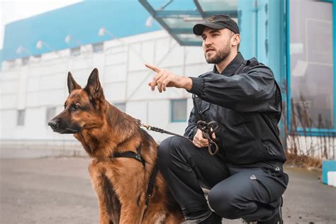 Expert K9 Dog Security Services | Guard Mark Security