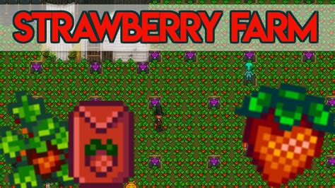 🍓Strawberry Farm Project!🍓 - *SWEET SUCCESS?* - Stardew Valley - YouTube